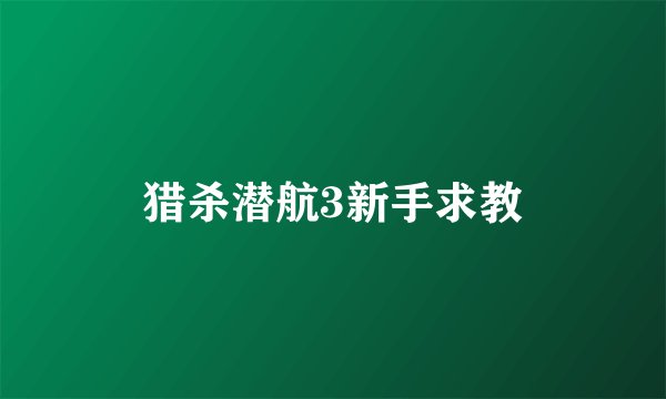 猎杀潜航3新手求教