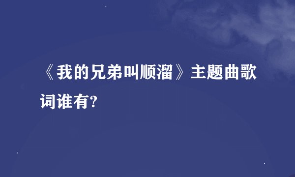 《我的兄弟叫顺溜》主题曲歌词谁有?