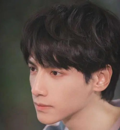 《追光者》剧组为罗云熙拍摄受伤而发文道歉,对此罗云熙是如何回应的?