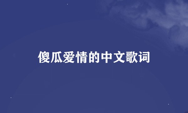傻瓜爱情的中文歌词