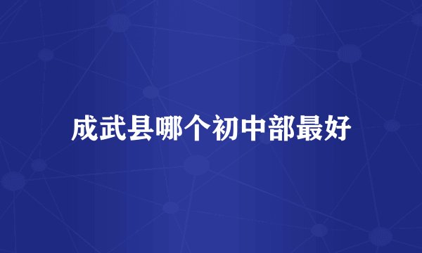 成武县哪个初中部最好