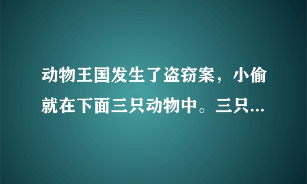 动物王国发生了盗窃案，小偷就在下面三只动物中。三只动物只有一个说的是真话，你能猜出是谁偷的东西吗？