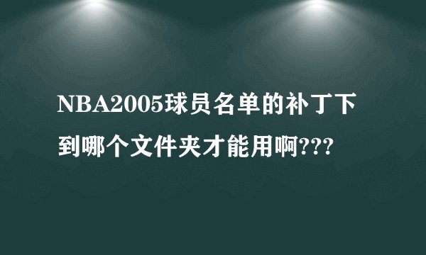 NBA2005球员名单的补丁下到哪个文件夹才能用啊???