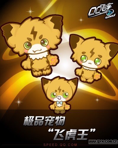 QQ飞车飞虎王进化图 飞虎王怎么开