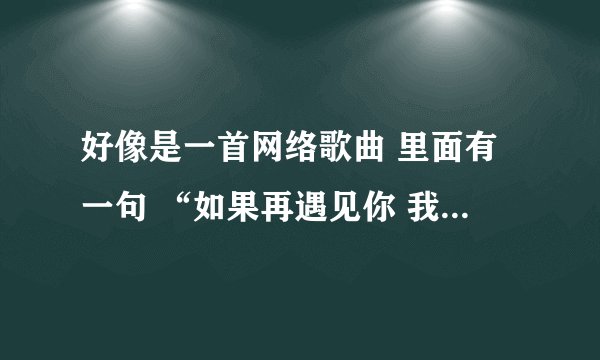 好像是一首网络歌曲 里面有一句 “如果再遇见你 我一定会抱紧你” 是个男的唱的 挺悲伤的 叫什么名字？