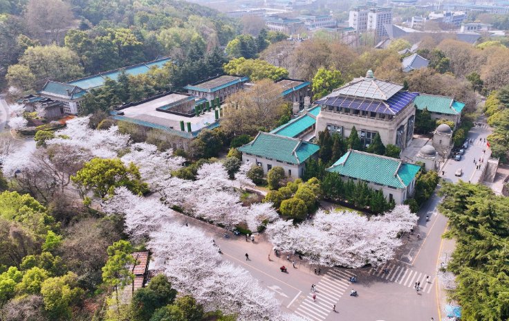 湖北省全部大学排名