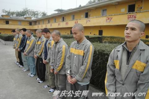 中国打黑风暴的介绍