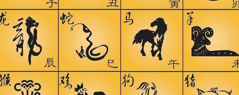 为了生存喜欢装死的生肖有哪些