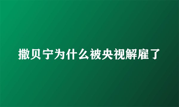 撒贝宁为什么被央视解雇了
