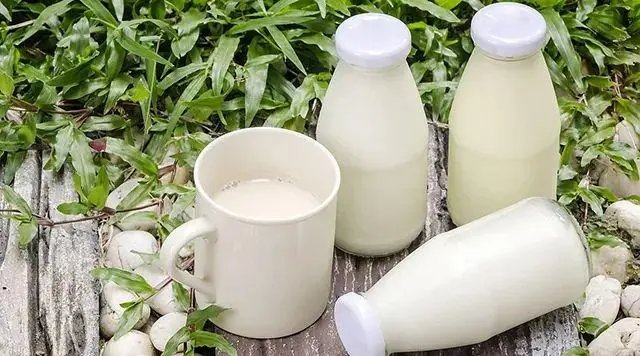 伊利牛奶是不是不安全啊?