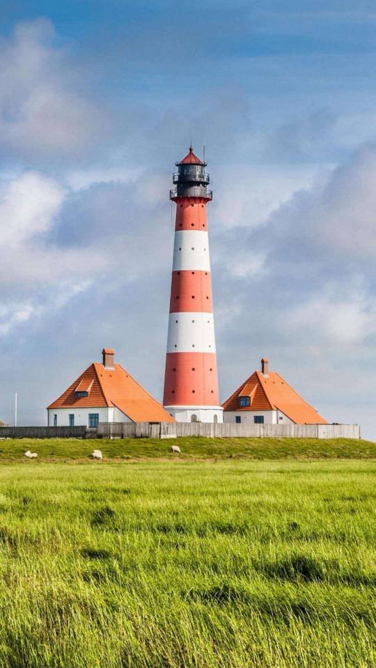 最难开口说抱歉！