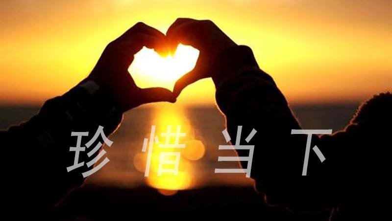 由爱故生忧,由爱故生怖,若离于爱者,无忧亦无怖。