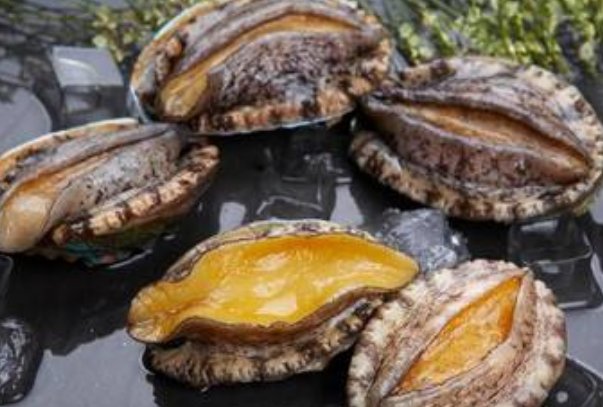 吃鲍鱼主要吃头还是脚？