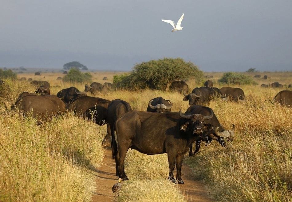有没有比上帝也疯狂更好看的电影?