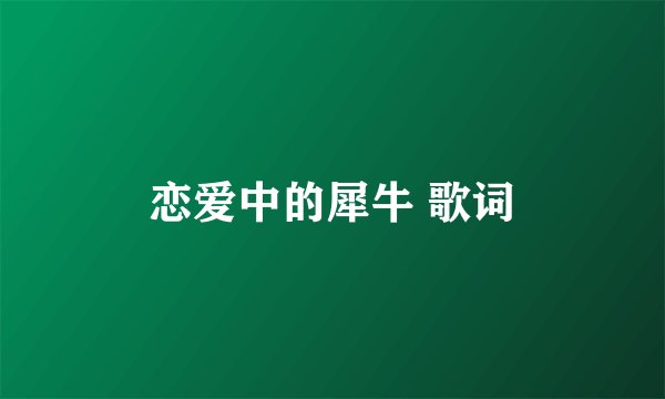 恋爱中的犀牛 歌词