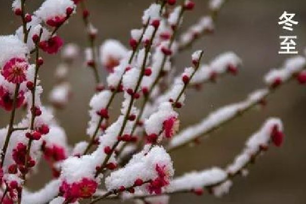 每年的冬至都是一九的第一天吗？