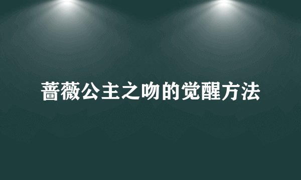 蔷薇公主之吻的觉醒方法