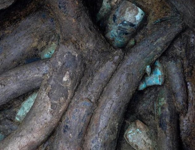 三星堆遗址的新发现中，出土了120根象牙，为何三星堆出土象牙很多？