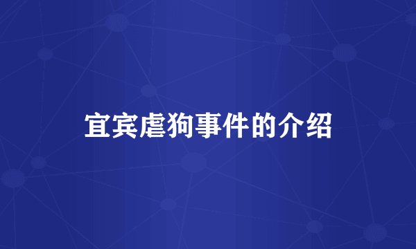 宜宾虐狗事件的介绍