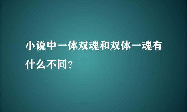 小说中一体双魂和双体一魂有什么不同？