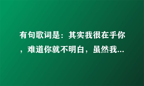 有句歌词是：其实我很在乎你，难道你就不明白，虽然我表达不了太多的爱…歌名叫什么