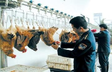 关于四川逐步取消现场宰杀销售活禽一事，你有何看法？