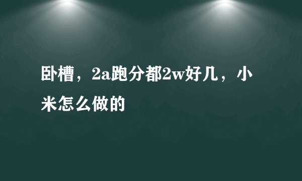 卧槽，2a跑分都2w好几，小米怎么做的