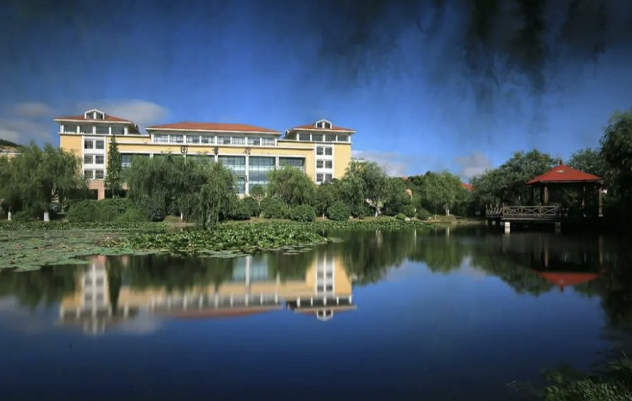 山东一本分数线