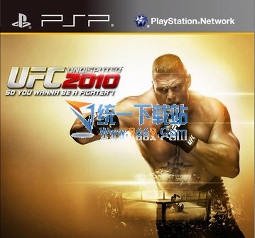 终极格斗冠军赛2010的简介：