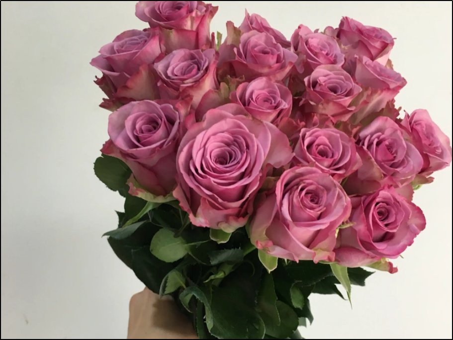 19岁大学生喜欢什么礼物