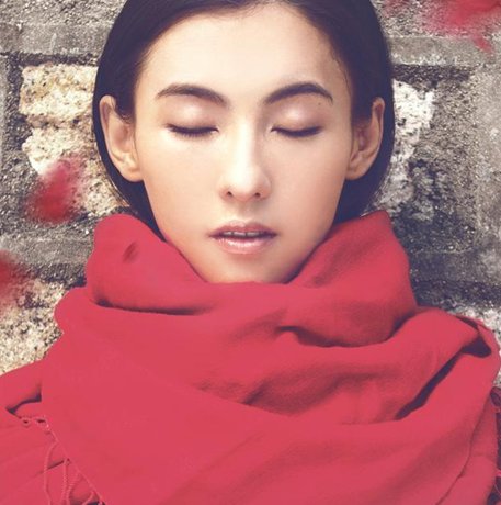 揭张柏芝曾为谢霆锋流产跳楼自杀内幕，真相是什么