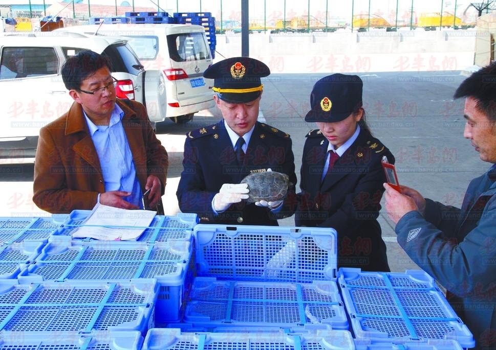 山东出入境检验检疫局的介绍