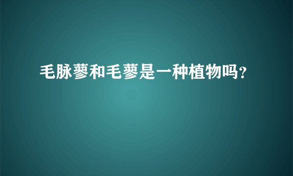 毛脉蓼和毛蓼是一种植物吗？