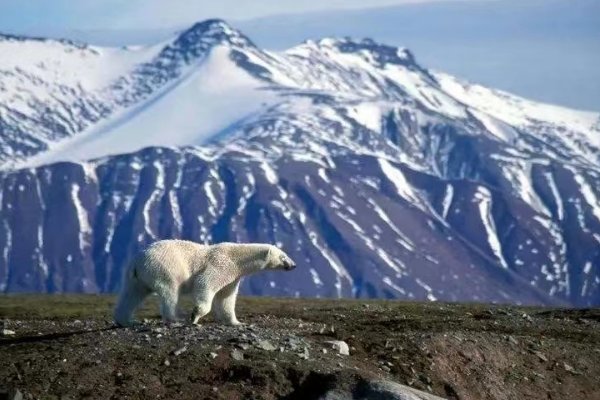 前国际社会讨论的全球气候变化问题,主要是指?