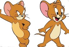 超认真!7只小猫看猫和老鼠,猫咪真的有这么聪明吗?