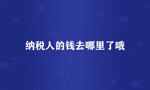 纳税人的钱去哪里了哦