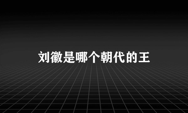 刘徽是哪个朝代的王