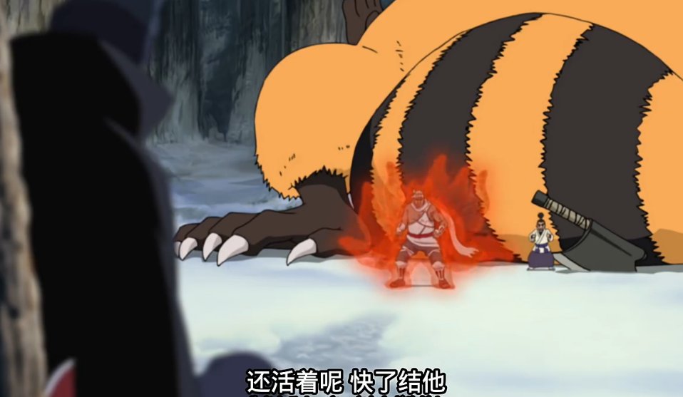 火影忍者八尾和鬼鲛对战是多少集？