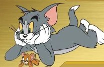 超认真！7只小猫看猫和老鼠，猫咪真的有这么聪明吗？