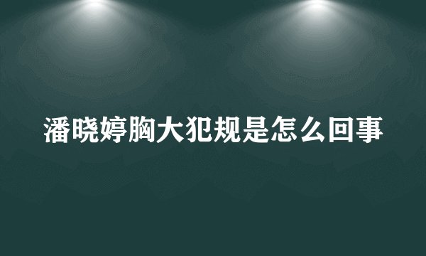 潘晓婷胸大犯规是怎么回事