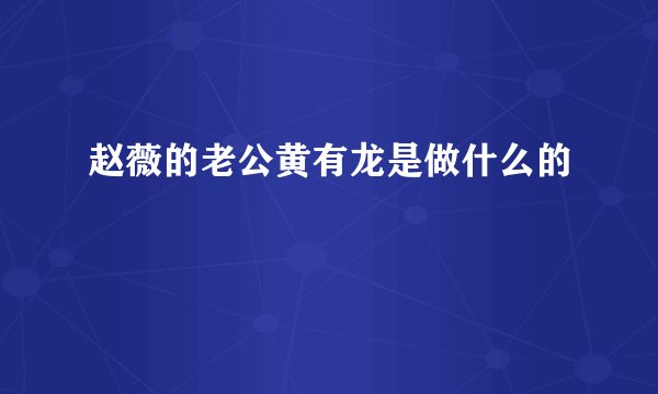 赵薇的老公黄有龙是做什么的