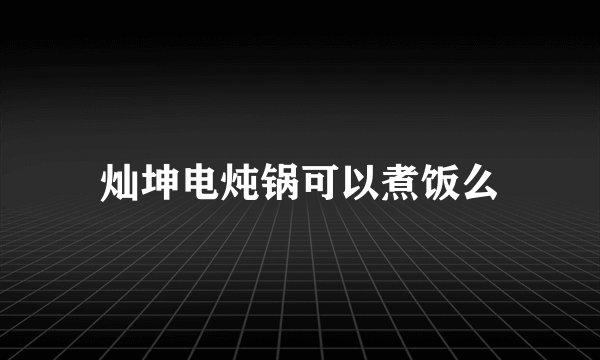 灿坤电炖锅可以煮饭么