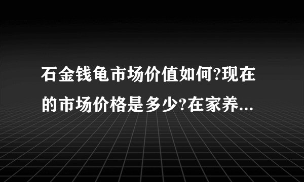 石金钱龟市场价值如何?现在的市场价格是多少?在家养殖方法如何? - 百度