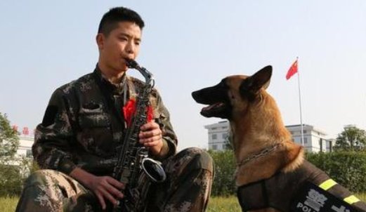 军犬紧紧咬住退伍老兵的行李不让走，它们之间有着怎样的感情？