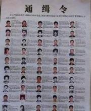 全球十大通缉犯的2010年
