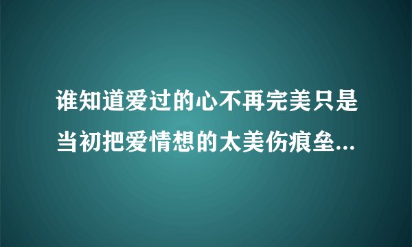 谁知道爱过的心不再完美只是当初把爱情想的太美伤痕垒垒支离破碎~~~爱你永不后悔！是哪首歌里的歌词？