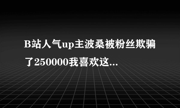 B站人气up主波桑被粉丝欺骗了250000我喜欢这个up主