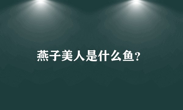 燕子美人是什么鱼？