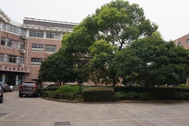 浙江艺术职业学院招生办电话