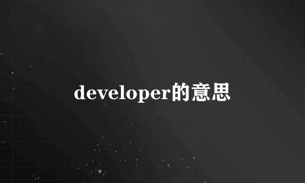 developer的意思